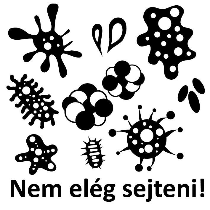 Tanári kar fantasztikus pecsétjei - Újdonság