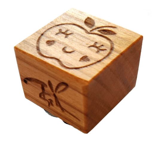 Névre szóló Ovisjel Nyomda Ruhára - ALMA