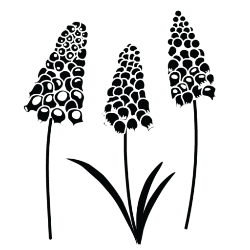 Virág - Fürtös gyöngyike