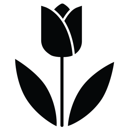 Virág - Tulipán - tömör