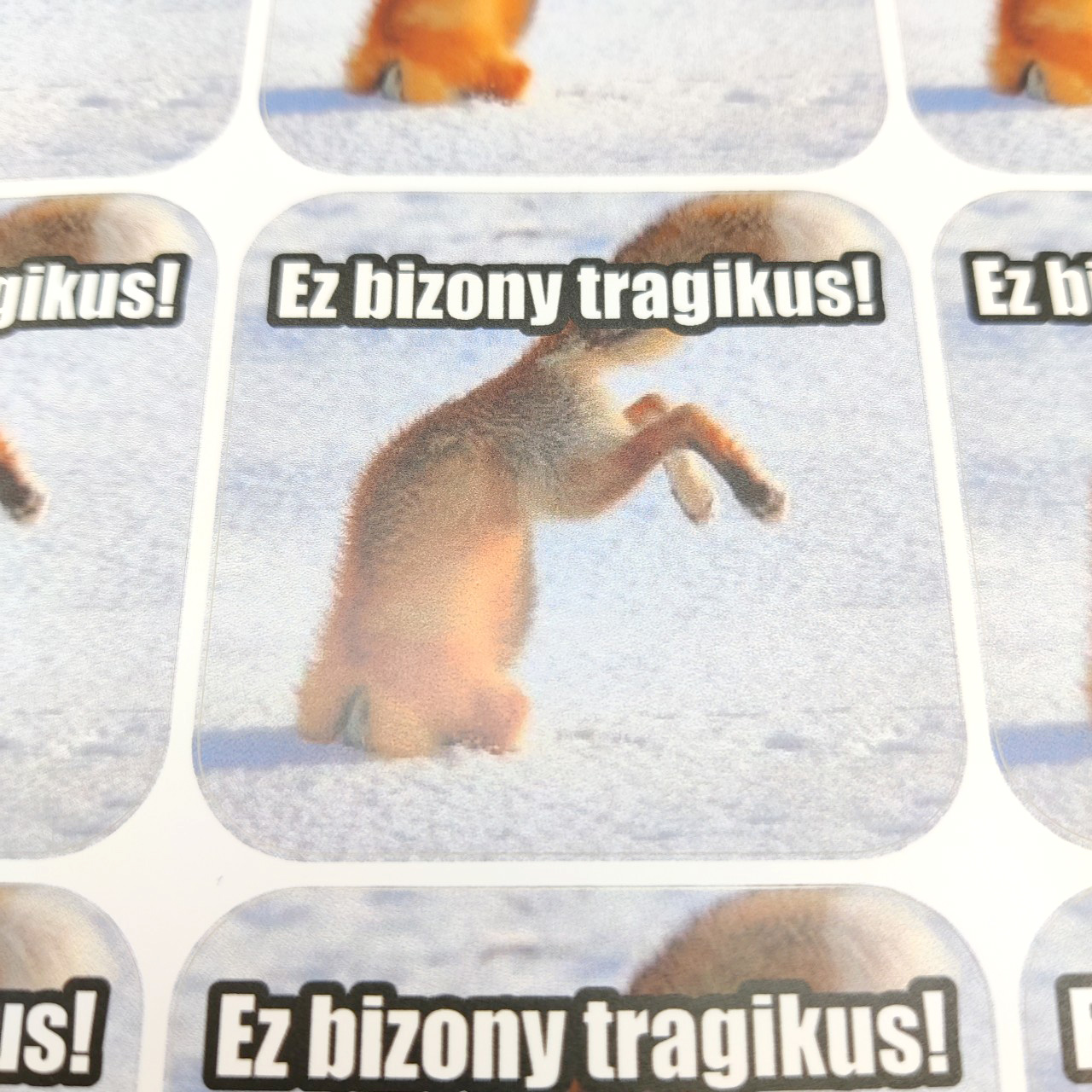 Matrica - Dogamém - MAXI - Róka - 20db maxi-dogamem-matrica-tanaroknak-roka