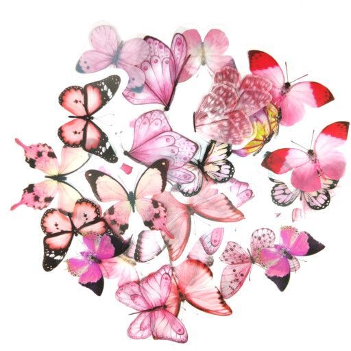 matrica-rózsaszín lepkék