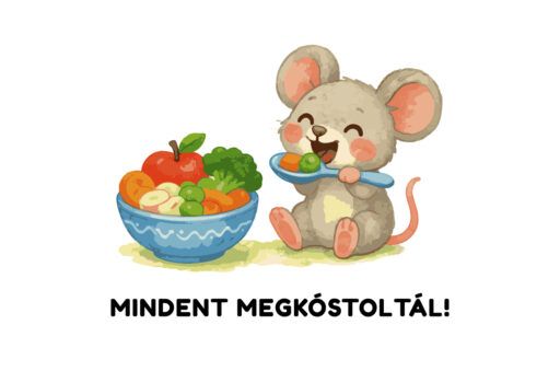 OVIS-kártya